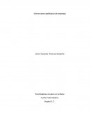 Informe sobre clasificación de empresas