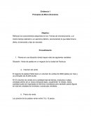 Evidencia 2 Micro-Economia