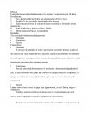 Objetivo: Comprender las necesidades fundamentales de las personas y su aplicación en la vida diaria