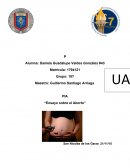 PIA “Ensayo sobre el Aborto”