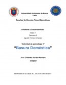 Actividad de aprendizaje Basura doméstica