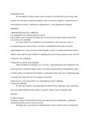 Los fundamentos de la administración de carrera