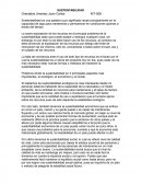 Sustentabilidad es una palabra cuyo signficado recae principalmente en la capacidad de algo para mantenerse y permanecer en condiciones optimas a través del tiempo.