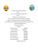 Propuesta para el desarrollo del cultivo de okra orgánica por la empresa CUASA