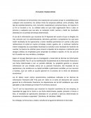 Estados Financieros. Clasificación de los Estados Financieros según Perdomo