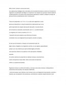 Mills y Gerth. Carácter y estructural social