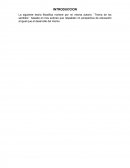 TEORIA DE LOS SENTIDOS