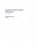 Investigación de puerto vallarta