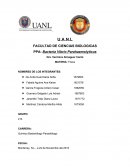 El Vibrio parahaemolyticus