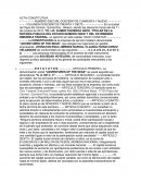 Acta constitutiva. Apuntes varios