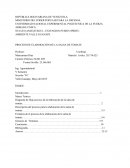 Como se da el Proceso de transformación de la salsa