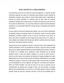 VIGAS: SOPORTE DE LA OBRA INGENIERIL