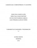 CUIDADOS QUE LE DEBEN BRINDAR A TU CACHORRO