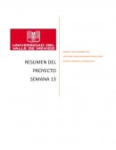RESUMEN PROYECTO DE DESARROLLO EMPRENDEDOR