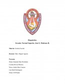 Diagnostico Colaborativo