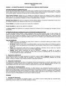 Resumen primer parcial constitucional.