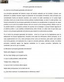 Principios generales del derechos.