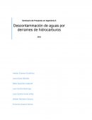 Descontaminación de aguas por derrames de hidrocarburos