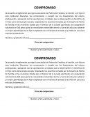 Compromiso - Apuntes Varios