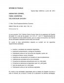 Informe y plan 2014 español