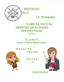 Como es visto el maestro en algunas perspectivas