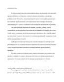 EL PROFESOR COMO APRENDIZ Y ENSEÑANTE DE SU MATERIA