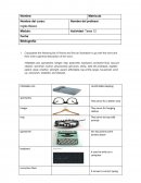 Tarea 12 Inglés Basico TECMILENIO.