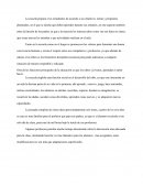 La funcion de la escuela.