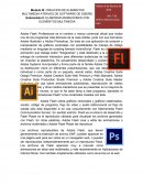 Adobe Flash Professional