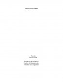 Caso Procter & Gamble "caso P&G"