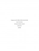 Distinguir entre ISO 14000, ISO 14001 y Nch-ISO 14001