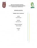 TRABAJO: Visita a Teotihuacán