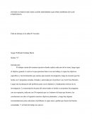 Falta de drenaje en la aldea El Tecolote