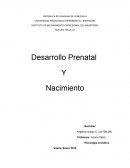 Psicología evolutiva.