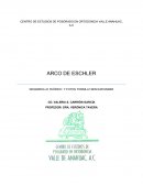 DESARROLLO TEÓRICO Y FOTOS TORNILLO MINI EXPANDER.