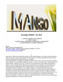 Estrategia grupo Mango