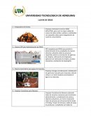 Gestión Empresarial. Tarea Grupal