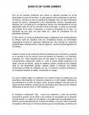 Ensayo de la pelicula de TAARE ZAMEEN