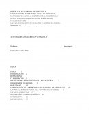 Actividades ganaderas en Venezuela