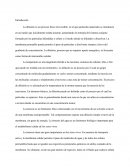 La difusión es un proceso físico irreversible