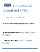 PROYECTO MODULAR 1 Estructura Socioeconómica de México