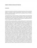 Optimizacion de la Produccion.