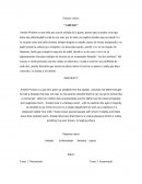 ENSAYO CRíTICO "AMELIE"