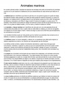 Investigacion animales marinos