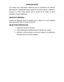 USO DE LOS RESORTES EN LA VIDA COTIDIANA