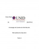 Estrategia de Canales de Distribución Mercadotecnia Ejecutivo