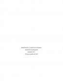 Identificacion y control de derrame