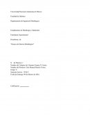 Fundamentos de Metalurgia y Materiales: “Ensayo de Dureza Metalúrgica”