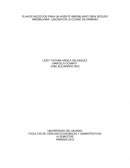 PLAN DE NEGOCIOS PARA LA EMPRESA “BIEN SEGURO INMOBILIARIA”, UBICADA EN LA CIUDAD DE ARMENIA