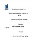 Ensayo: Bienes y sucesiones